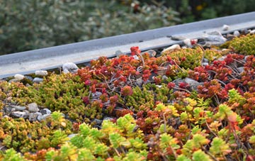 the cost of Bagh Thiarabhagh green roof installation