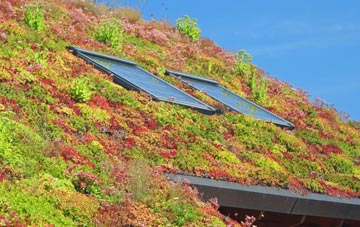 Bagh Thiarabhagh living roof systems